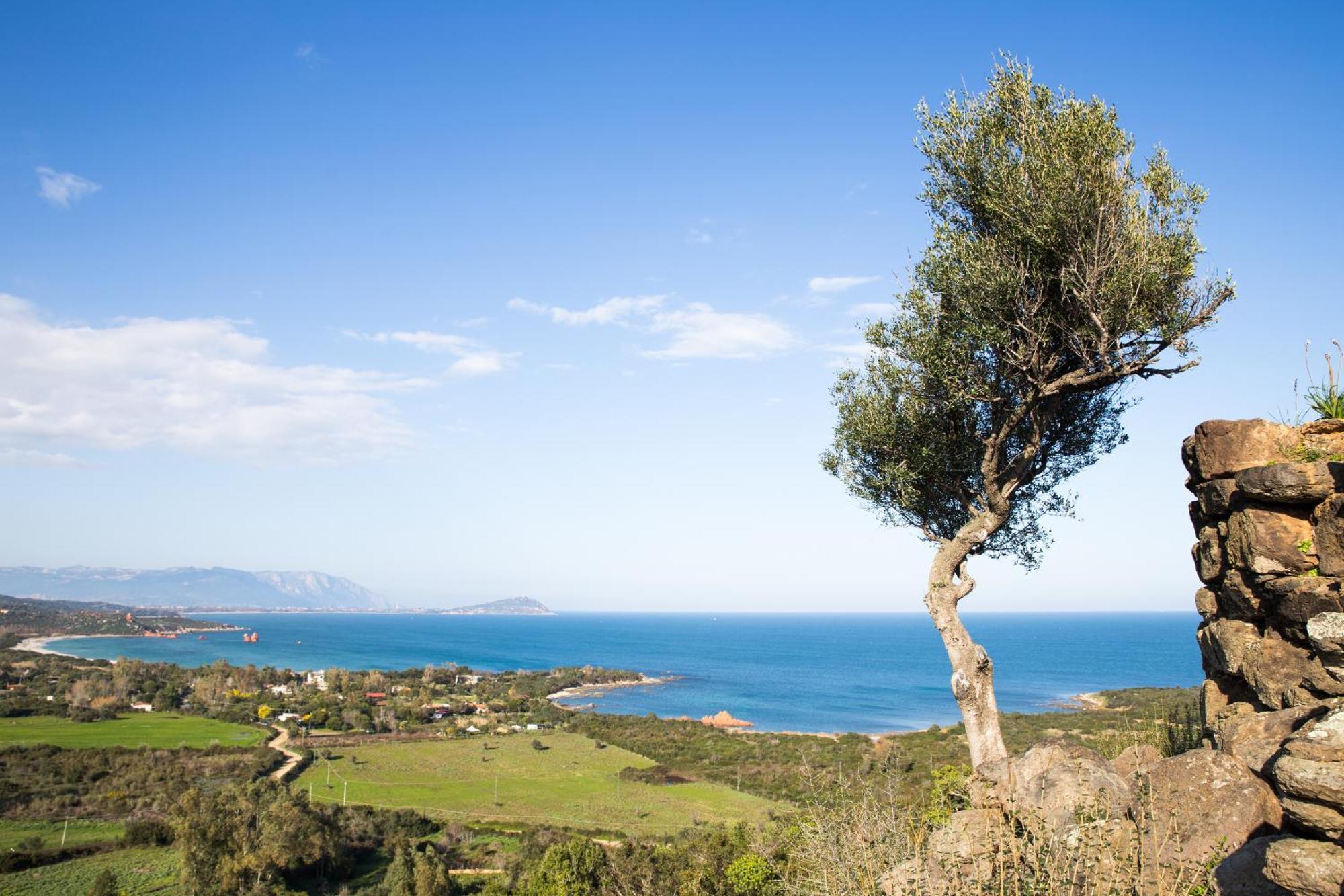 Apartmán Le Corti Sarde Garden Bari Sardo Exteriér fotografie